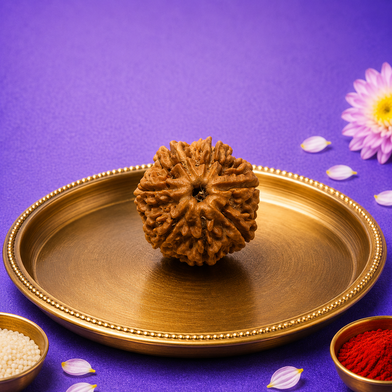 7 मुखी नेपाली रुद्राक्ष