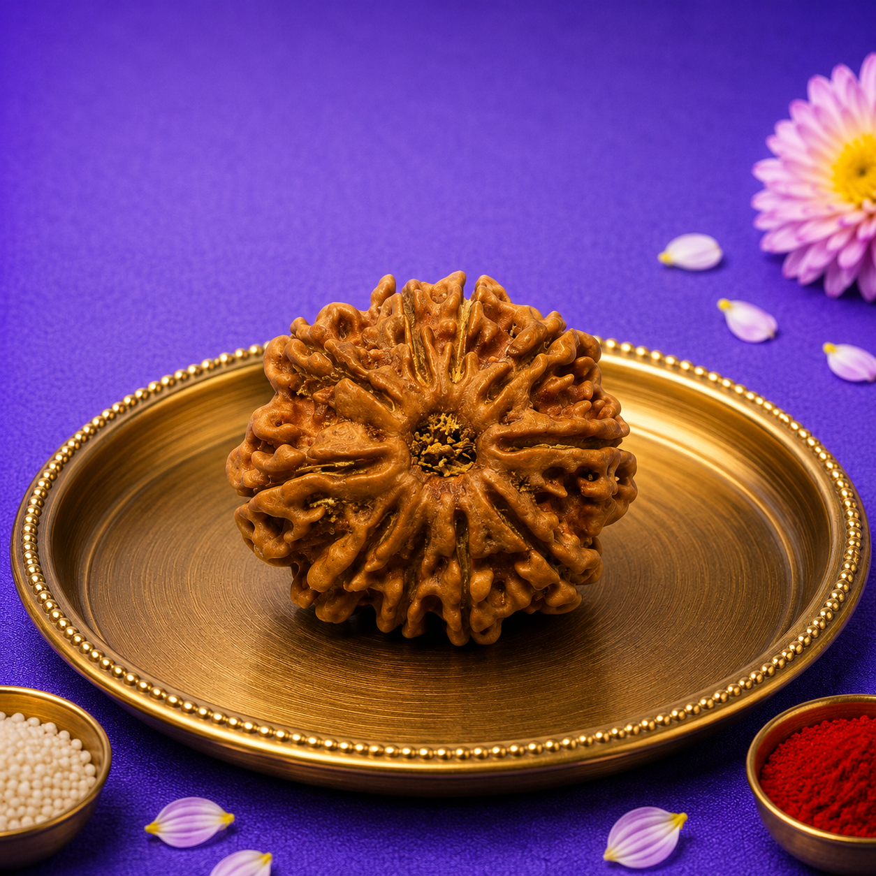 10 मुखी नेपाली रुद्राक्ष