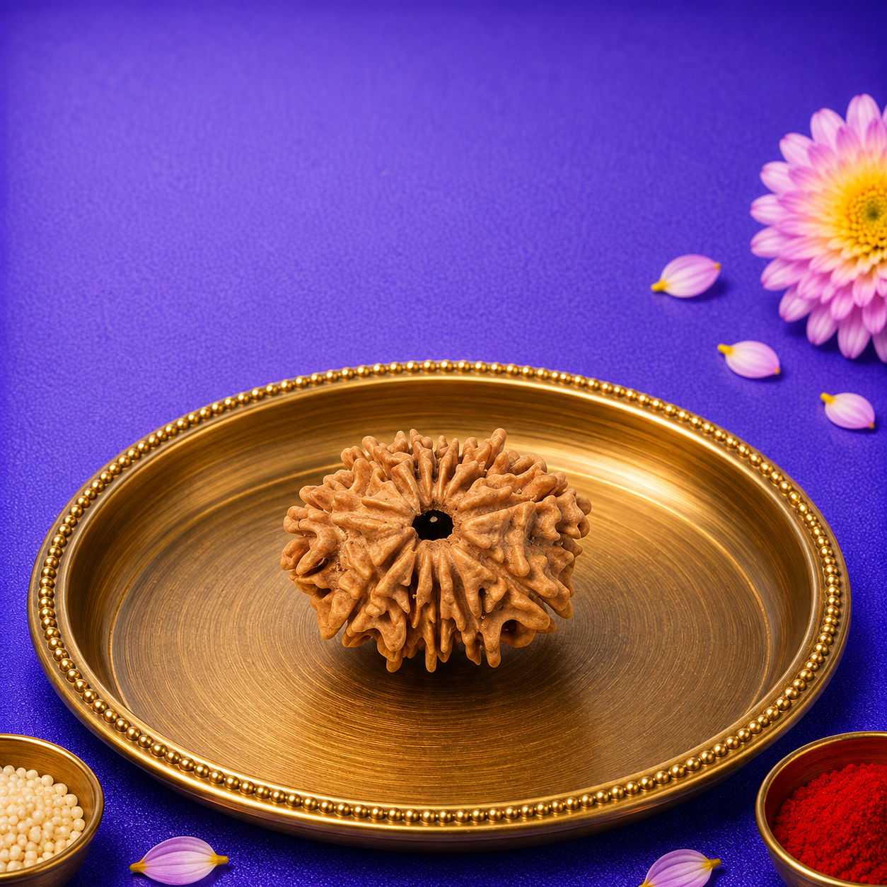 12 मुखी नेपाली रुद्राक्ष